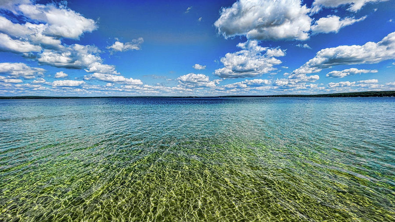 Higgins Lake