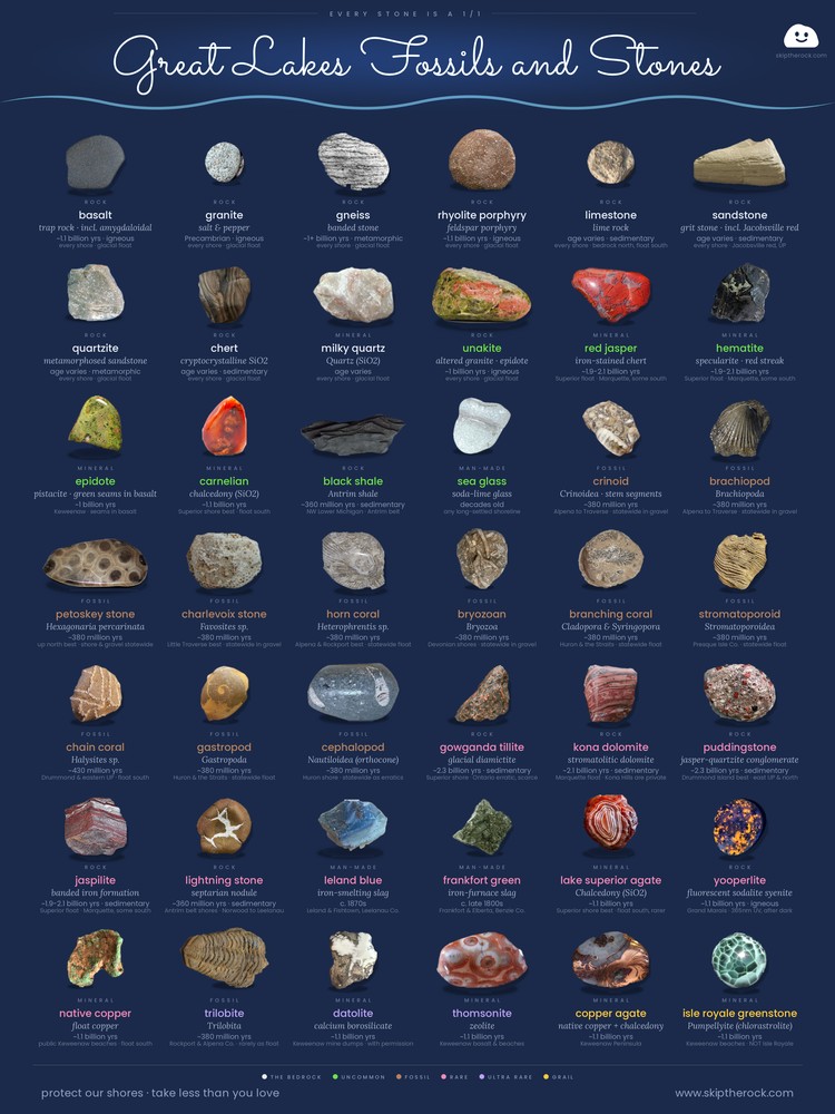 the field guide · great lakes rocks & fossils, by rarity