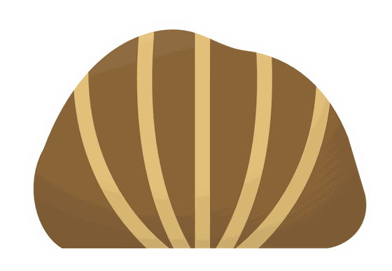 brachiopod