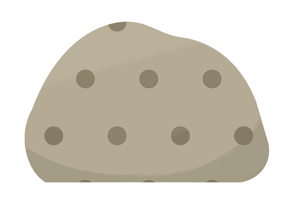 bryozoan