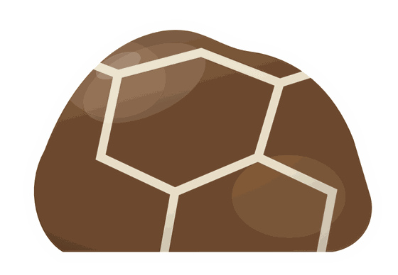 lightning stone