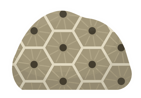 petoskey stone