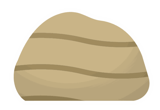 stromatoporoid