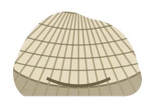 brachiopod