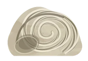gastropod