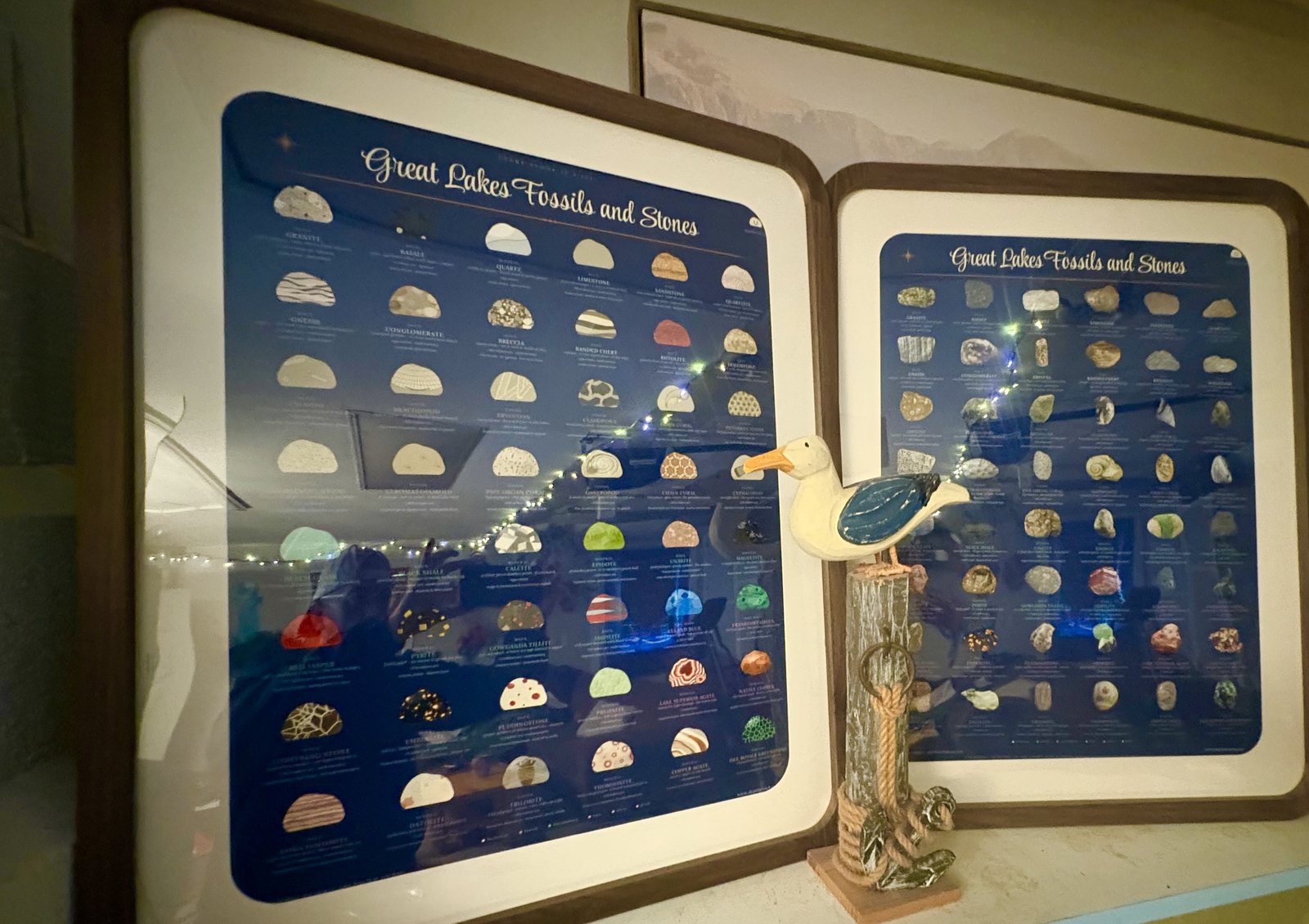 Both field guides framed on the shelf at Higgins Lake