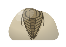 Skip · Trilobite