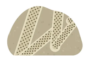 Bryozoan