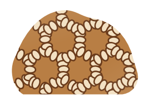 Halysites