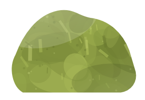 epidote