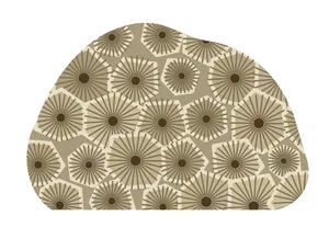 Hexagonaria