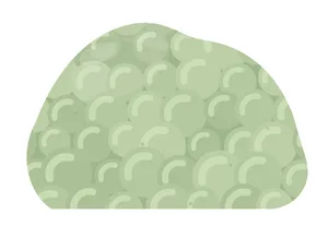 prehnite