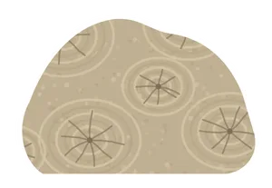 Stromatoporoid