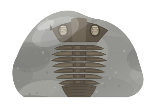 trilobite